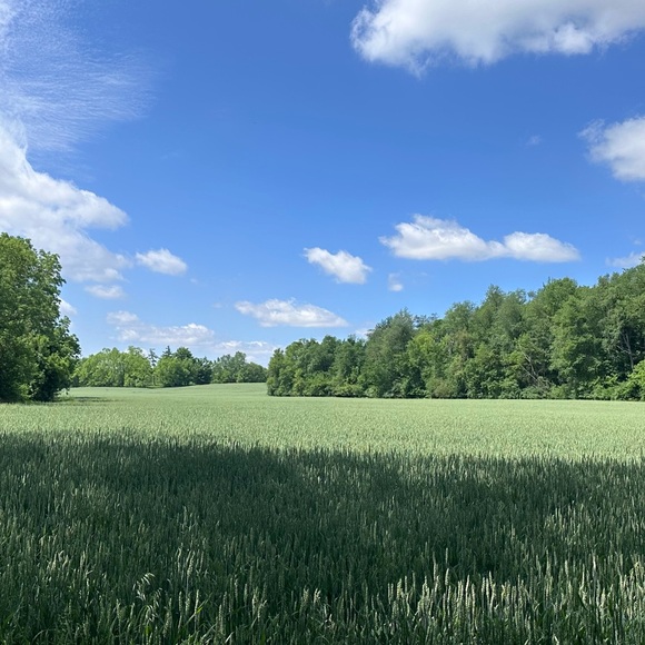 Meet your Posher, Nora - Picture 2 of 2